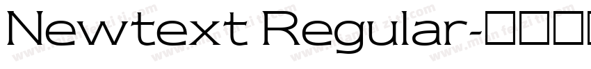 Newtext Regular字体转换